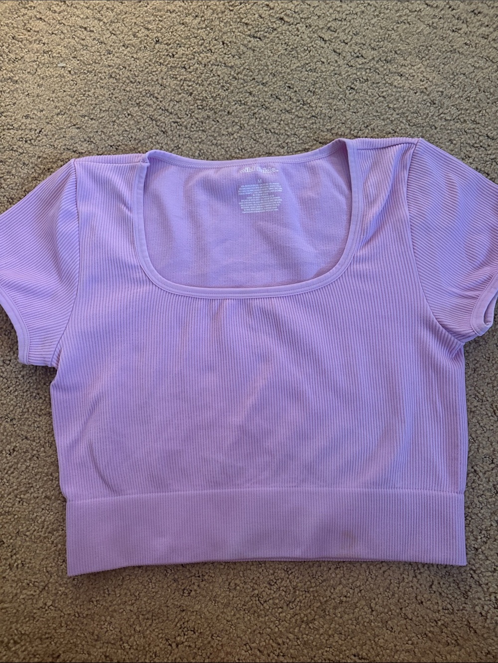wild fable Lilac Ribbed Scoop Crop Top